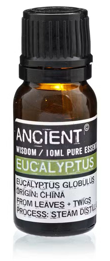 Óleo Essencial 10ml - Eucalipto (Eucalyptus)