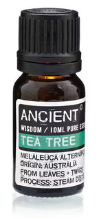 Óleo Essencial 10ml - árvore do chá ( Tea Tree)