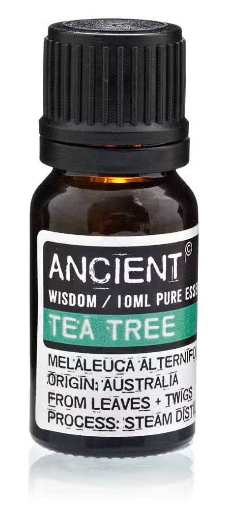Óleo Essencial 10ml - árvore do chá ( Tea Tree)