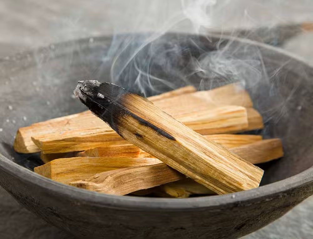 100g Árvore verde Palo Santo Sticks